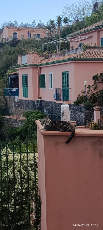 Villa La Timpa Acireale Exterior foto
